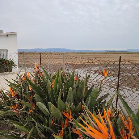 Caseta Del Chato Deltebre Luaran gambar
